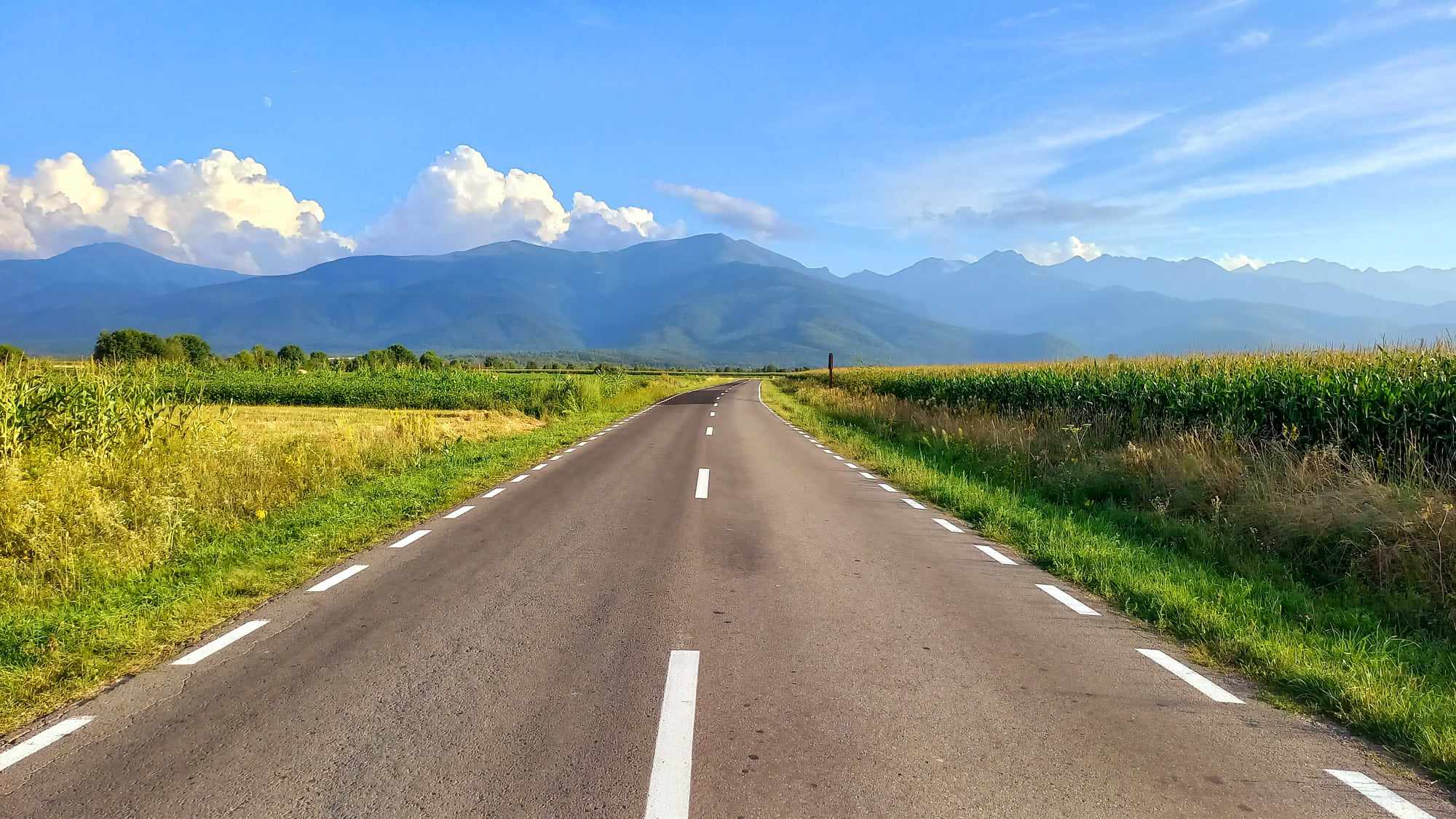 426174356_1089544378954054_164622990896740794_n